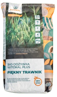 Bez_tytułu-removebg-preview (1).png